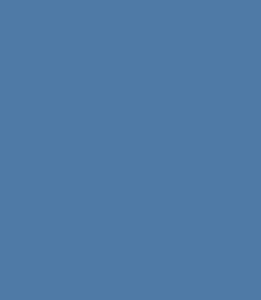 Brandon Blue